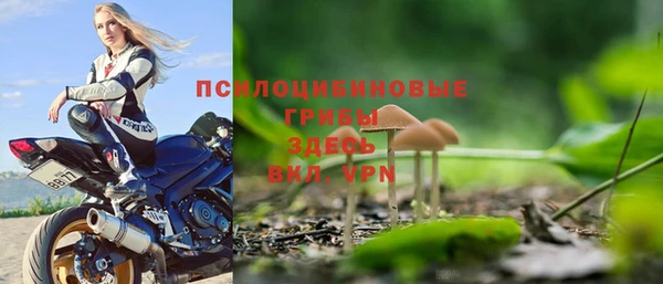 шишки Армянск