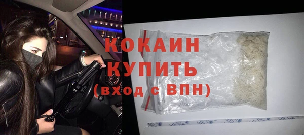 шишки Армянск