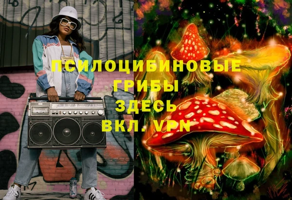 шишки Армянск