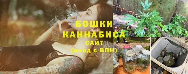 шишки Армянск