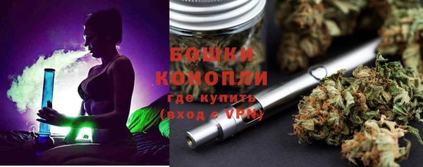 apvp Аркадак